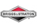 Briggs & stratton